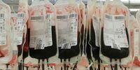 Blood bank management system